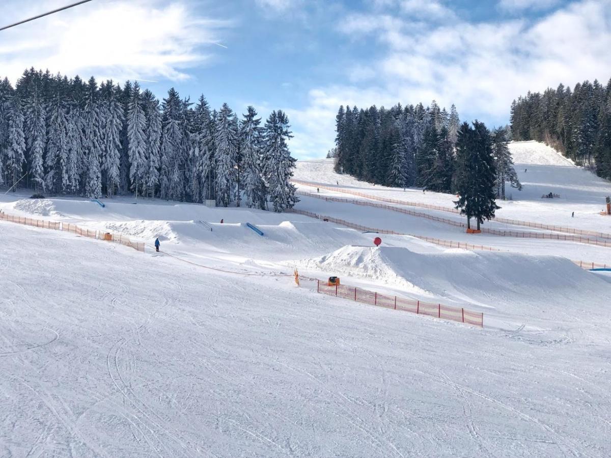 Fontana Lipno Hotel Cerna v Posumavi Bagian luar foto